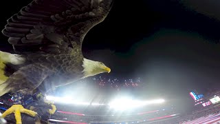 Challenger Soars at Philly Eagles Military Appreciation Game 2014 [upl. by Ner]