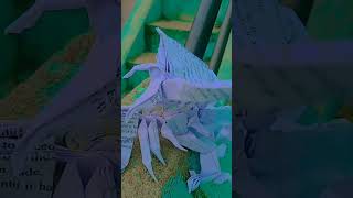 Origami dragon done LQD entertainment art funpapercraft origamidragon origamipaper art [upl. by Fawne]