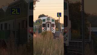 OLD CAB CAR 256 at Cooksville GO 10182024 train gotransit gotrain [upl. by Osrit]