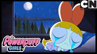 LONELY BLOSSOM  Powerpuff Girls Cartoon Network [upl. by Eiddet]