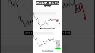 USDCAD ➡️ 160 pips bearish outcome shorts [upl. by Aciraa]