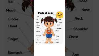 Body parts name part 2  bodyparts bodypartsforkids educationtv shorts [upl. by Airetas]