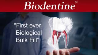 Biodentine wide range of applications [upl. by Angrist]