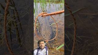 Modinha pesca no Laço🤠 fishing reaction pescaria Traíra [upl. by Ajroj510]