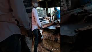 Wood cutting sawmill woodmill sawmil woodworking shorts [upl. by Willow]