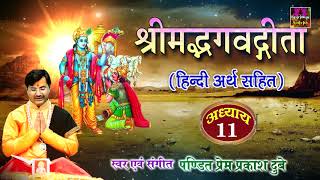 श्रीमद भगवद गीता सार अध्याय 11  Shrimad Bhagawad Geeta  Chapter 11  Prem Prakash Dubey [upl. by Ruscher]