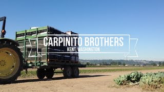 Meet the Carpinito Brothers  Puyallup Washington [upl. by Napoleon]