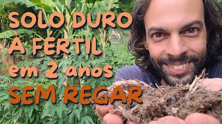 Como Começar uma Agrofloresta ADUBAÇÃO VERDE [upl. by Ardnaid]