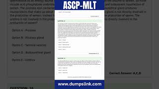 Medical Lab Technician MLT Exam Questions and Answers  ASCPMLT PDF Questions [upl. by Ahsirhcal]