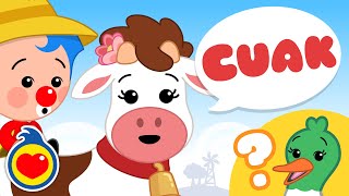 A Vaquinha Laura Está Errada 🐮  Música Infantil  Um Herói do Coração ❤️ [upl. by Hermione822]