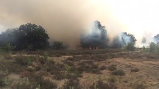 Grote heidebrand bij Waalre brandweer massaal uitgerukt voor vuurzee [upl. by Anitnemelc]