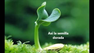 Como Crece Una Planta [upl. by Sumner]