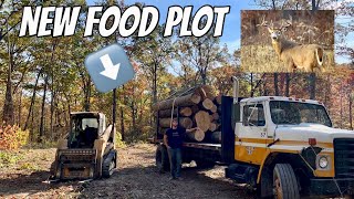 LOGGING A FOOD PLOT IN TIME FOR HUNTING SEASON [upl. by Tijnar]