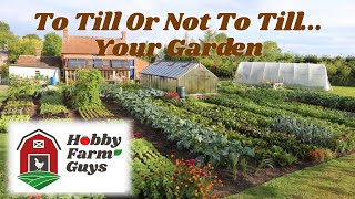 Tilling vs No Till Gardening Which Is Best For You [upl. by Biel]