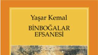 Yaşar kemal🌺Binboğalar efsanesi🌺 PART 9 roman seslikitap yaşarkemal чтение [upl. by Alisander]