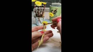 1 minute clay coltsfoot [upl. by Colet783]