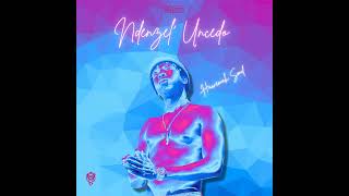 NDENZEL UNCEDO  HYMN GQOM REMIX [upl. by Assirual748]