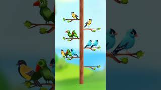 cute birds viralshort vlogs shotcutebirds bhojpuri ganashortvidtrendingshorts trending [upl. by Timotheus]