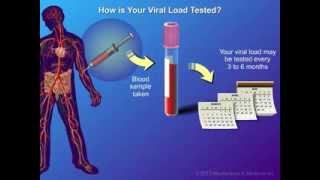 Viral Load and Monitoring [upl. by Leelahk]