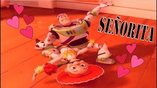 Senõrita Music Video Toy Story Version [upl. by Gamin895]