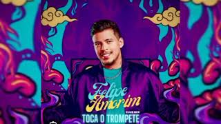 FELIPE AMORIM  TOCA O TROMPETE  INTRO MIX [upl. by Arek935]