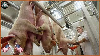 Pig Raising amp Transport Method  Pork Slaughter amp Cutting Line  Sausage Processing Technology [upl. by Vershen]