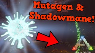 How to Gather Mutagel the Correct Way amp Shadowmane Tame  ARK Survival Evolved Genesis 2 DLC [upl. by Woodruff]