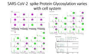 SARSCoV2 Spike protein glycosylation varies with different cell system Code 306 [upl. by Wan867]