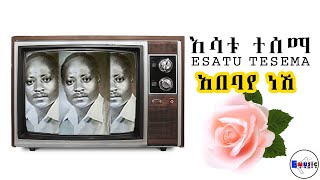 Esatu Tesema Abebaye Neshi እሳቱ ተሰማ አበባየ ነሺ DawitTsige [upl. by Refanej23]