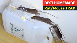 Easy mouse trap  Rat Traps  Best Homemade Mousetrap Ideas from Plastic Can [upl. by Cotsen]