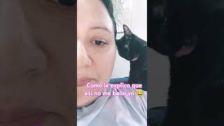 Mi gata me quiere acicalar youtube shorts video youtubeshorts ytshorts foryou blackcat [upl. by Eliathan662]