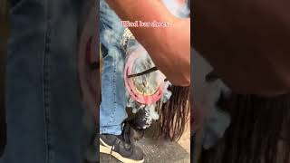 farrier tiktokfarrier fyp animalsoftiktok equestrian hoofcare satisfying oddlysatisfying as [upl. by Dygal179]