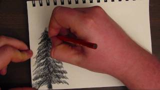 How to Draw a Basic Tree [upl. by Fey]