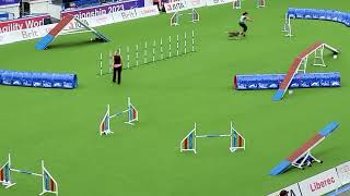 NIMAS Agility Large Individual ZIVILE PETRAUSKE FCI AWC 2023 [upl. by Lewert]