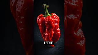 This Pepper Is So Hot It’s Deadly [upl. by Wampler]