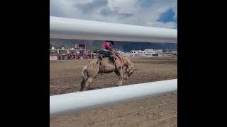 keremeos rodeo 2024 [upl. by Rabush]