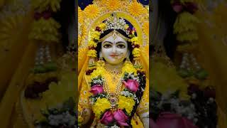 Meera k prabhu Giridhar nagar  sachet parampara  tere bina hor disda jai shree krishna 🌺🙏 [upl. by Haeel]