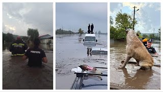 Hochwasser in Pechea Galați Rumänien  14092024 Überschwemmungen flood romania [upl. by Kenyon]