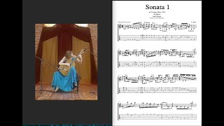 Sonata 1 in G minor Siciliana J s Bach Bwv 1001  Ana Vidovic Transcription [upl. by Supat455]