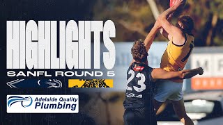 2024 Highlights  SANFL Round 5 v Glenelg [upl. by Court]