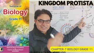 Kingdom Protista  Protozoa Algae amp Slime Molds  Biology  Grade 11 Urdu Hindi English  Federal [upl. by Jennee]