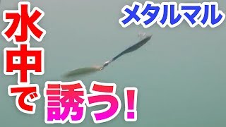 メタルマルアクション水中映像！初心者でもできる簡単メタル丸カスタム！ただ巻き仕様の成果は？ [upl. by Erv]