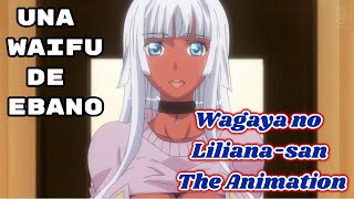 👩🏿‍🦳ESTA WAIFU LE AGRADECE ASÍ POR SALVARLA🍫 Wagaya no Liliana san The Animation  RESUMEN ANIME H [upl. by Alethia]