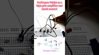 Darlington Triplet as a high gain amplifier and touch sensor [upl. by Odlaumor]