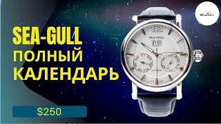 Этот SEAGULL ВПЕЧАТЛЯЕТ Полный календарь за 250 [upl. by Annairt]