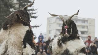 Bulgarian Kukeri [upl. by Bambie]