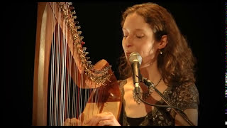 Celtic Harp Song with String Quartett quotShinequot keltische Harfe [upl. by Ecirtnuahs980]