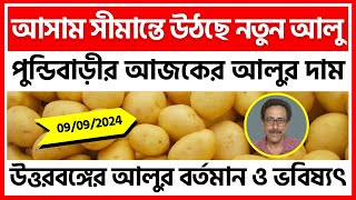 090924  কোচবিহারের পুন্ডিবাড়ীর আজকের আলুর দাম  Potato Price in Pundibari NB  India Potato [upl. by Hayikat]