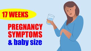 17 Weeks Pregnant Symptoms and Baby Moving – Baby Size in Womb [upl. by Kos]