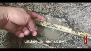 三个月前修的水管，今天又漏水了，打开来又是水管破裂导致漏水！ [upl. by Gothar]